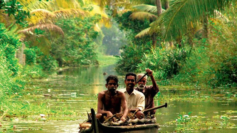 South India Revealed