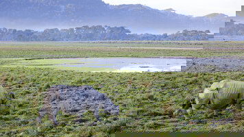 16 Day India Expedition: Sikkim, Assam & Nagaland (Intrepid)