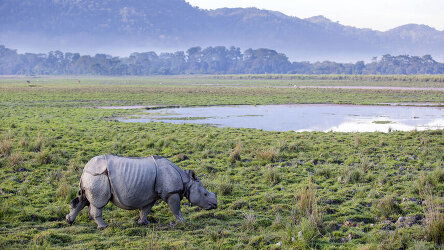 16 Day India Expedition: Sikkim, Assam & Nagaland (Intrepid)