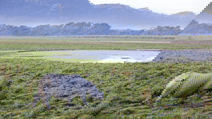 India Expedition: Sikkim, Assam & Nagaland