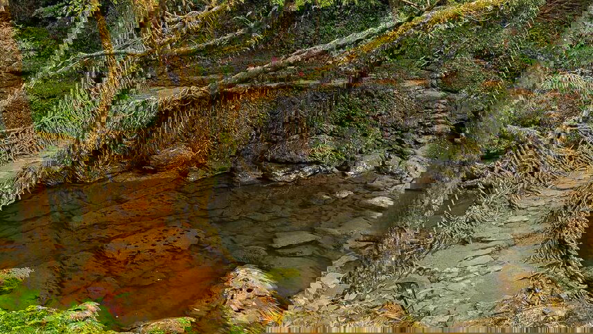 India Expedition: Sikkim, Assam & Nagaland