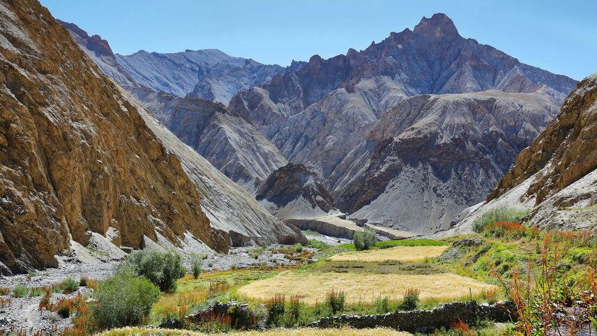 India: Trekking in Ladakh