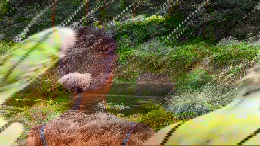 Nepal: Women's Expedition