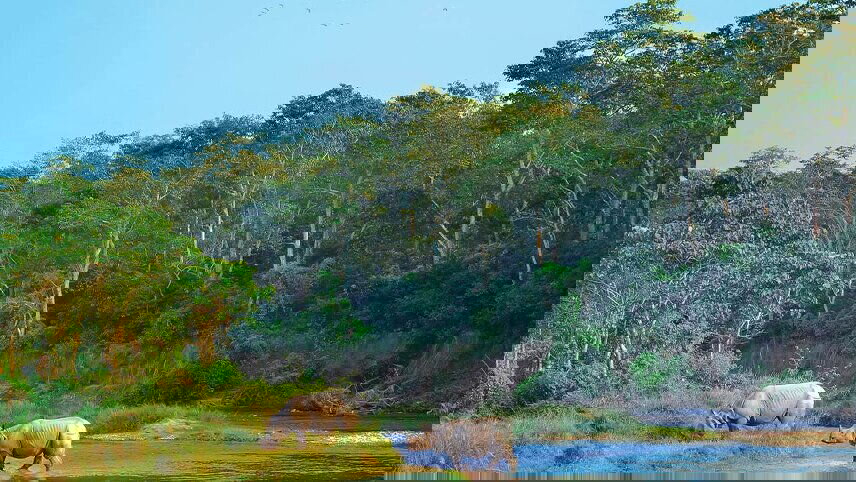 Nepal: Women's Expedition