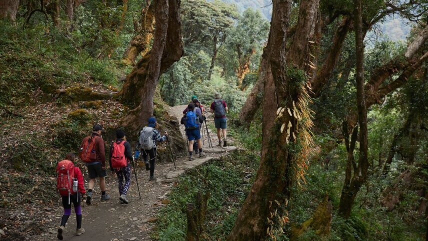 Premium Hiking and Trekking in Nepal's Annapurna Region