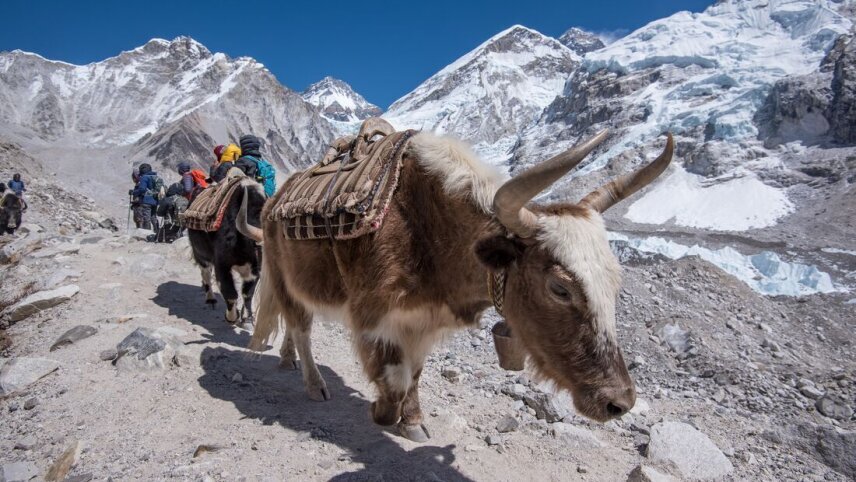Epic Everest Base Camp Trek