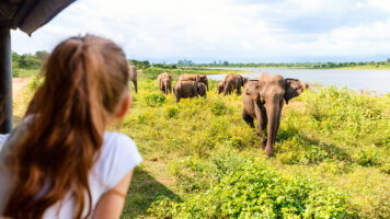 9 Day Sri Lanka Premium Family Holiday (Intrepid)