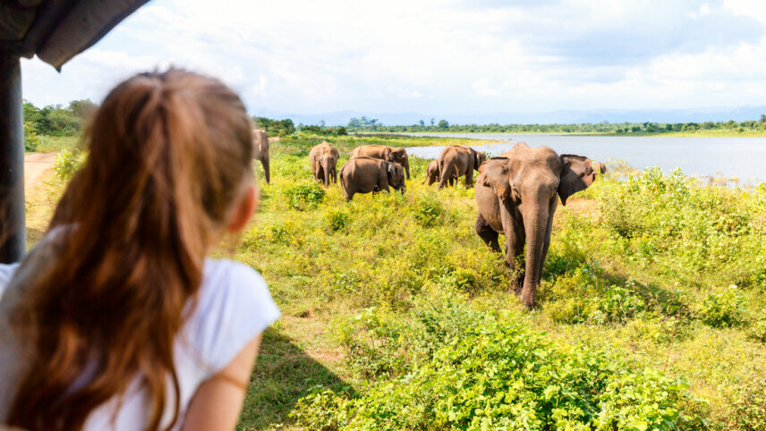 Sri Lanka Premium Family Holiday