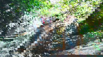 12 Day Sri Lanka Safari (Intrepid)