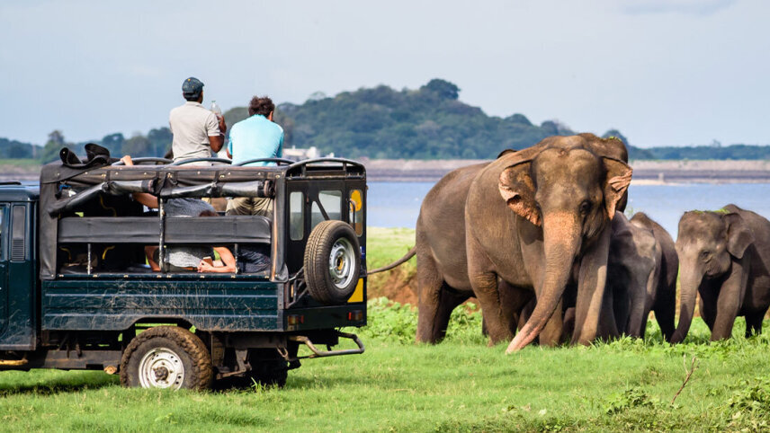 Premium Sri Lanka