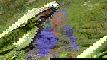 14 Day Premium Sri Lanka in Depth (Intrepid)