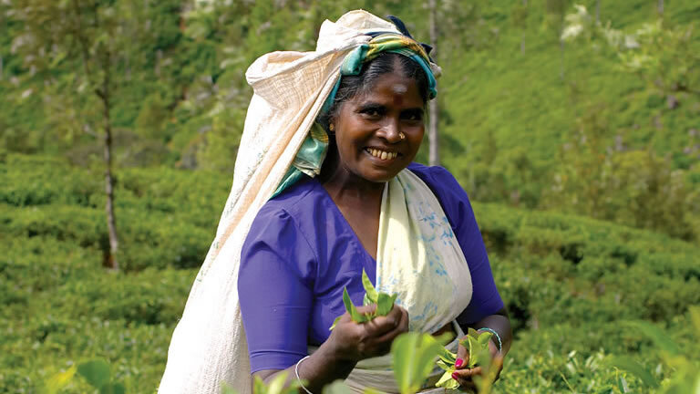 Premium Sri Lanka in Depth