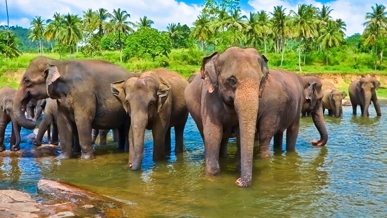 Best of Sri Lanka