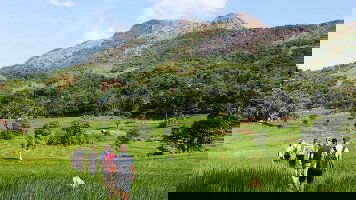 10 Day Sri Lanka: Hike, Bike & Kayak (Intrepid)