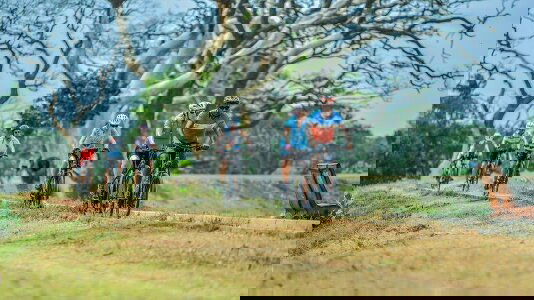 India & Sri Lanka Tours)