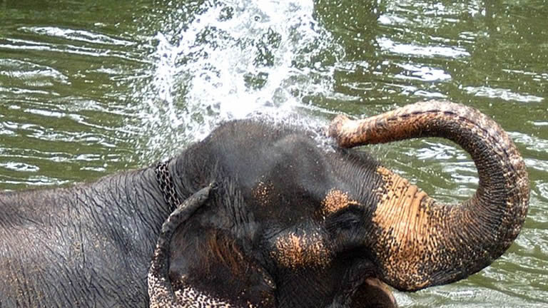 Sri Lanka Real Food Adventure