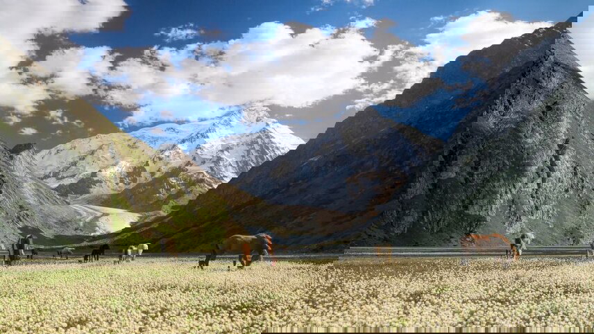 Premium Kazakhstan and Kyrgyzstan