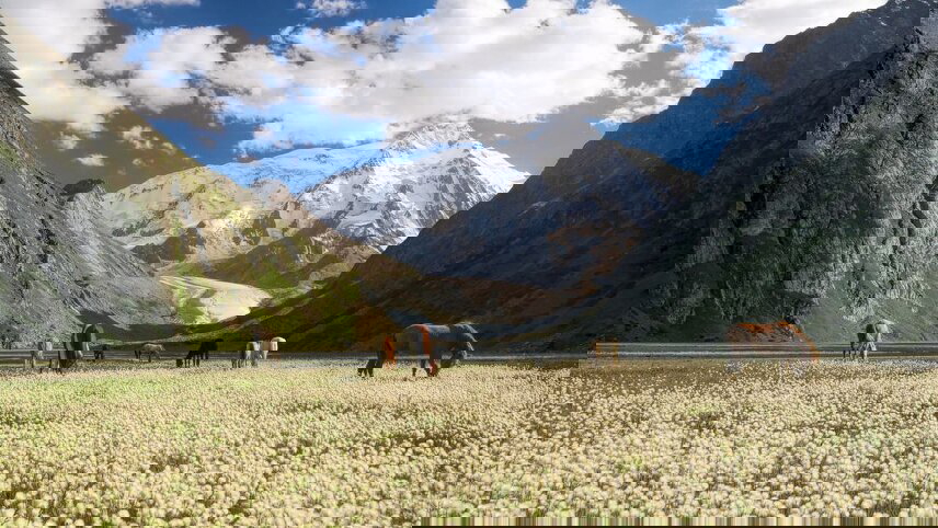 Premium Central Asia