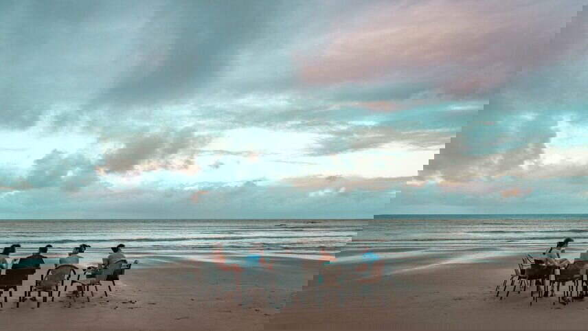 Find your Light: Daintree & Cape Tribulation Adventure