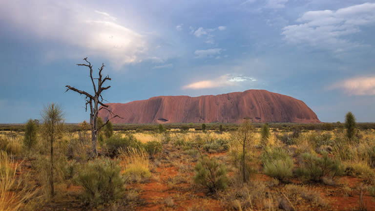 Outback Camping Adventure