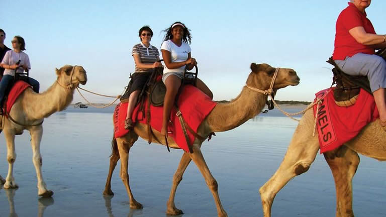 Darwin to Broome Overland Adventure