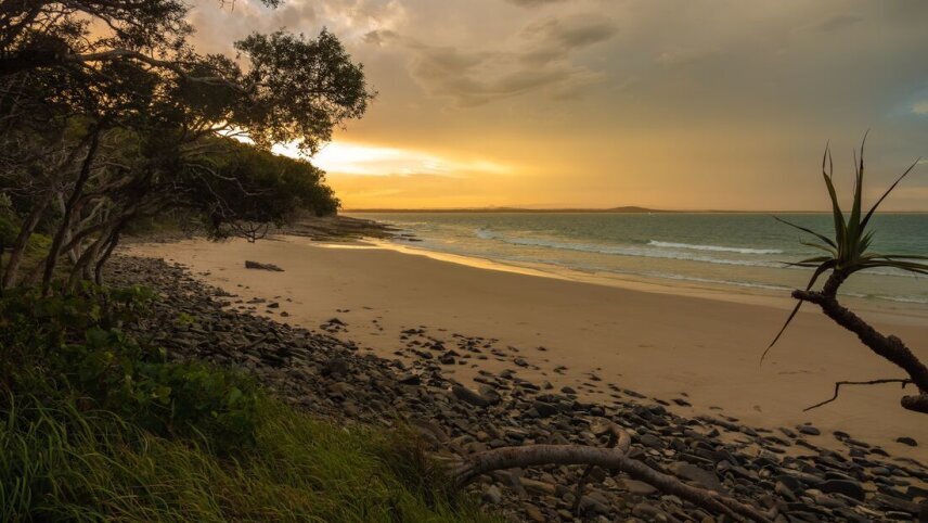 Cairns to Brisbane Adventure