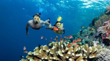 14 Day Cairns to Sydney Adventure (Intrepid)
