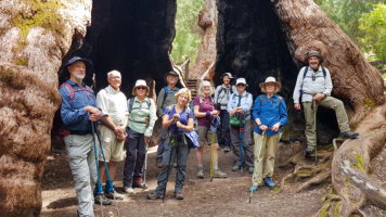 8 Day Hike the Bibbulmun Track: Walpole to Denmark (Intrepid)