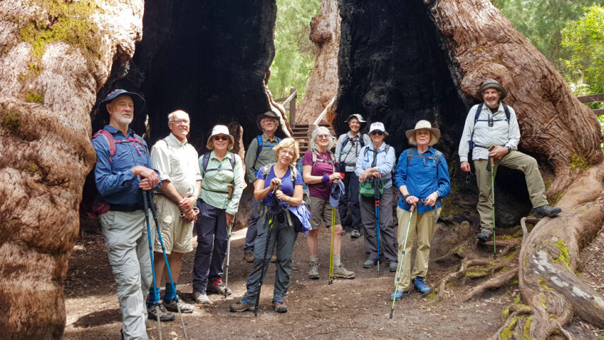 Hike the Bibbulmun Track: Walpole to Denmark