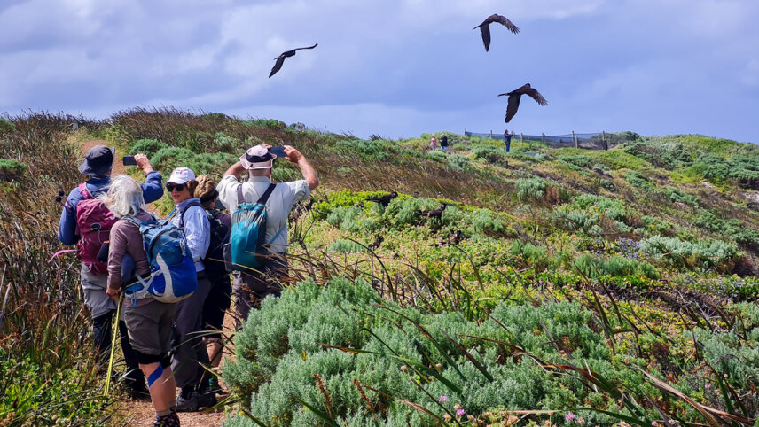 Hike the Bibbulmun Track: Walpole to Denmark