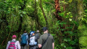 20 Day New Zealand Uncovered (Intrepid)