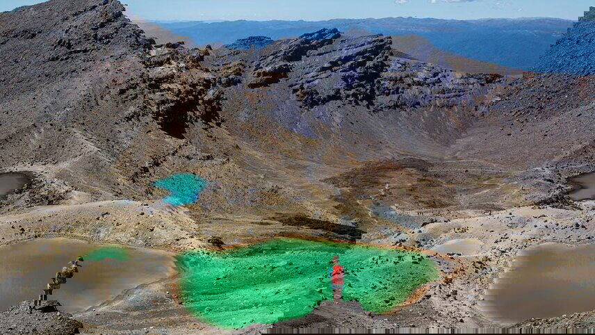 New Zealand Uncovered (Northbound)