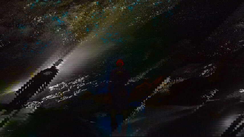 Premium New Zealand North Island