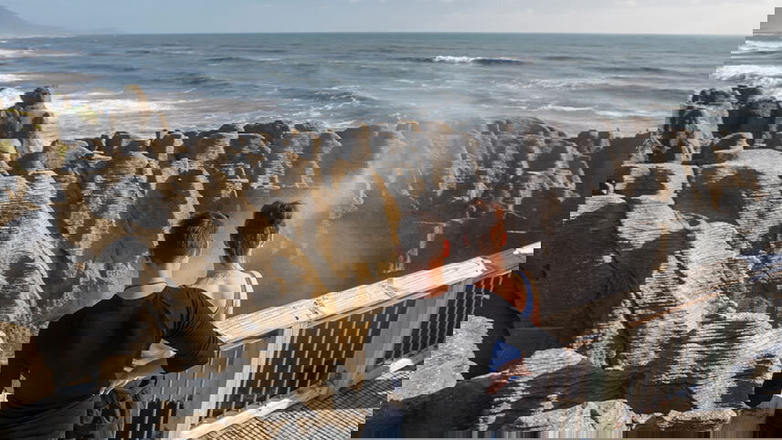 Premium New Zealand Encompassed