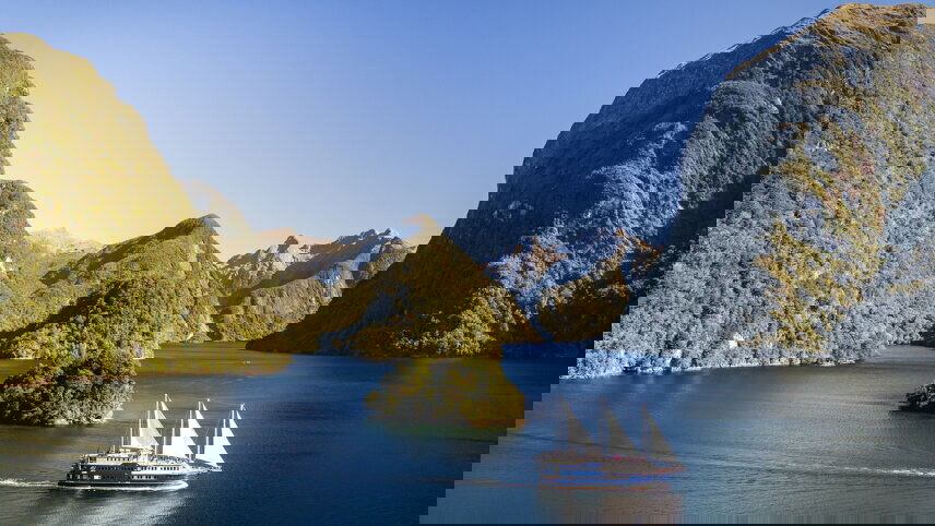 Premium New Zealand Encompassed