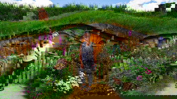 11 Day New Zealand's South to North Island Adventure (Northbound) (Intrepid)