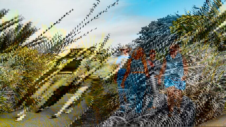 Essential New Zealand: South Island