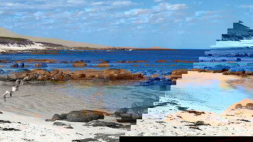 7 Day Walk South Australia's Flinders Ranges (Intrepid)