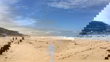 7 Day Hike the Great Ocean Walk (Intrepid)