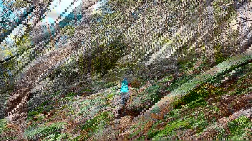 Walk Bruny Island & Tasmania's South West