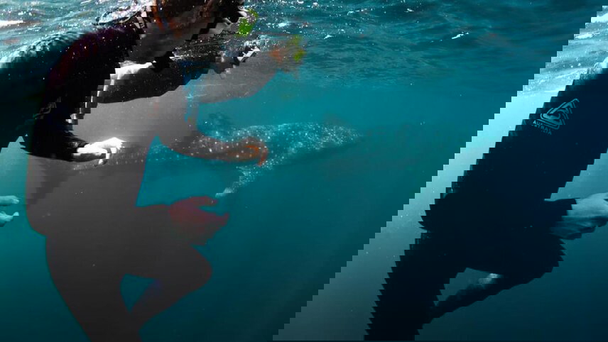 Walk Western Australia's Karijini & Ningaloo Reef