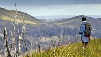 6 Day Walk Tasmania's Tarkine & Cradle Mountain (Intrepid)
