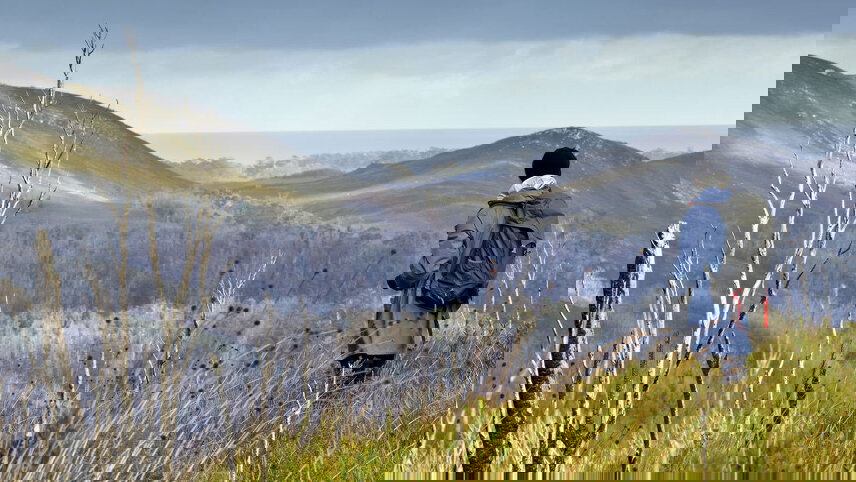 Walk Tasmania's Tarkine & Cradle Mountain