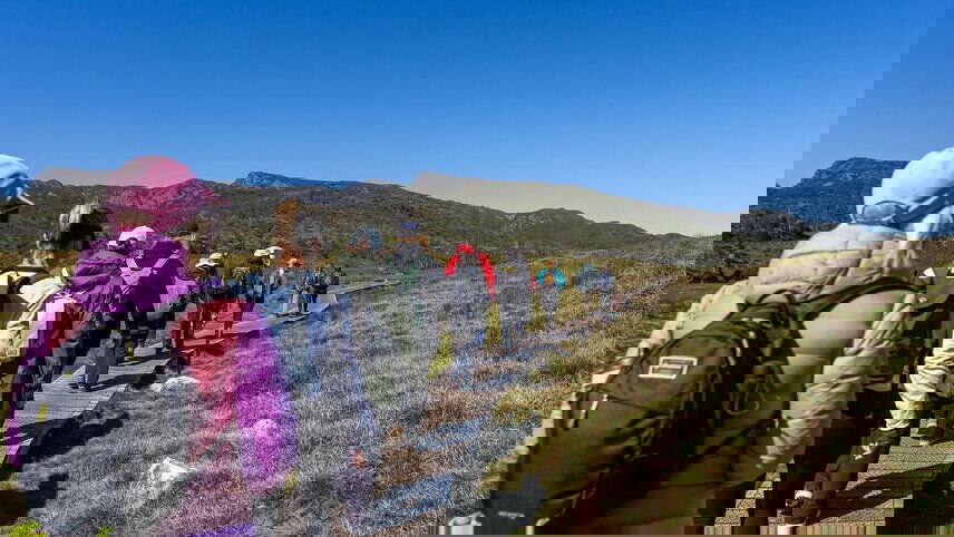 Walk Tasmania's Tarkine & Cradle Mountain