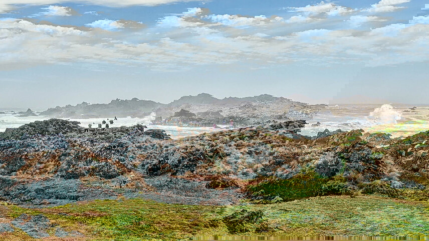 Walk Tasmania's Tarkine & Cradle Mountain