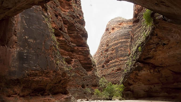 Broome to the Bungle Bungles