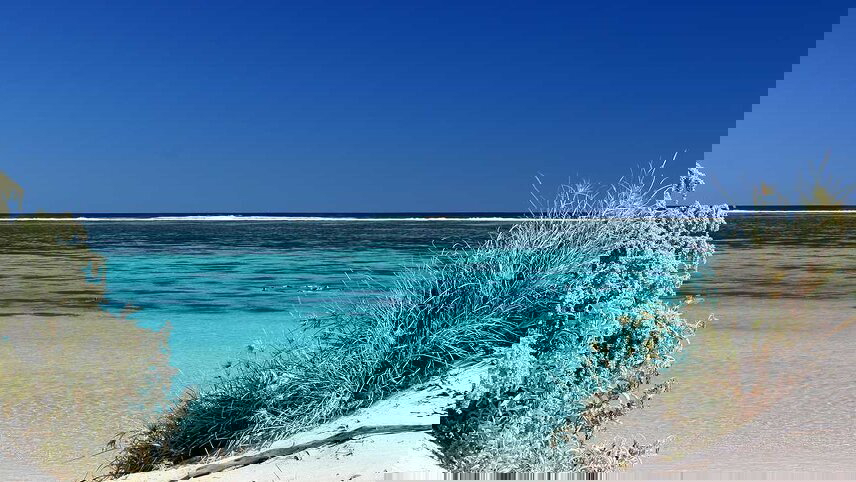 Broome to Perth Safari