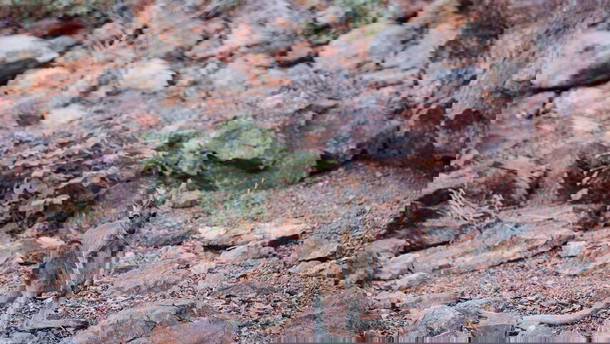 Darwin to Perth Overland