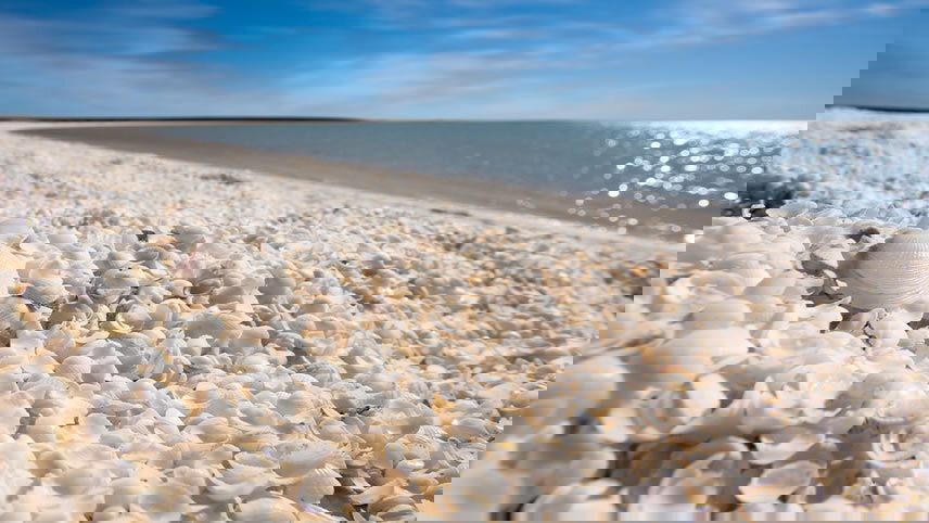 West Coast & Karijini Overland Adventure