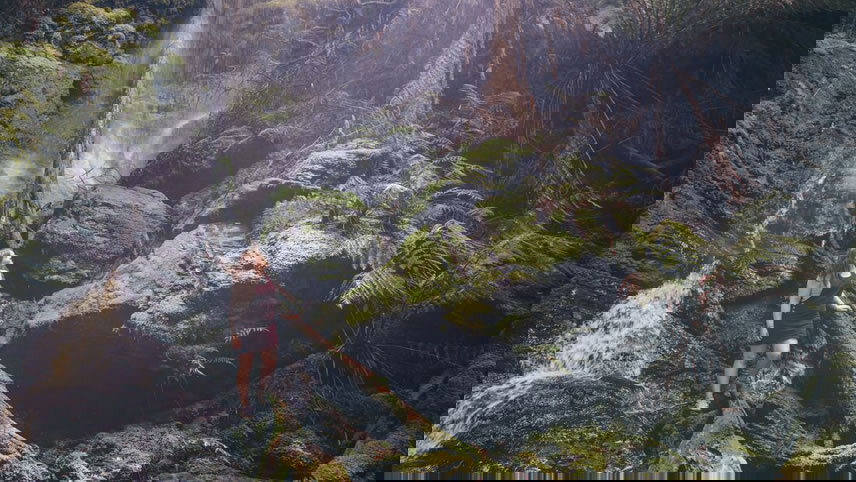 Highlights of Tasmania